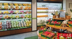 水果店，零食销售新阵地