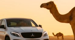 中国新能源车企，加速杀入中东