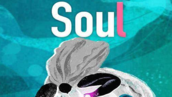 狂输二十万，Soul直播间里的“孤注一掷”