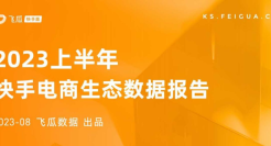2023上半年快手电商生态数据报告
