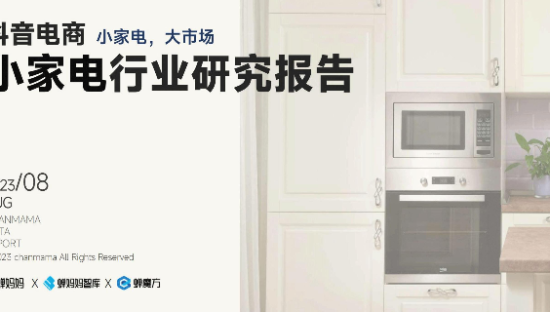 抖音电商小家电行业研究报告
