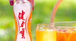 中年健力宝，一错难回头