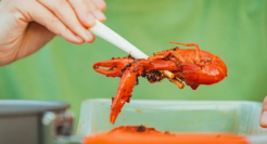 年轻人吃不起的小龙虾该游去哪儿？