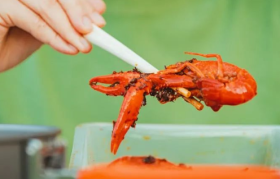 年轻人吃不起的小龙虾该游去哪儿？