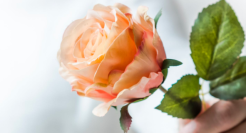 悦她不如悦己，七夕的浪漫生意不灵了