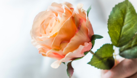 悦她不如悦己，七夕的浪漫生意不灵了