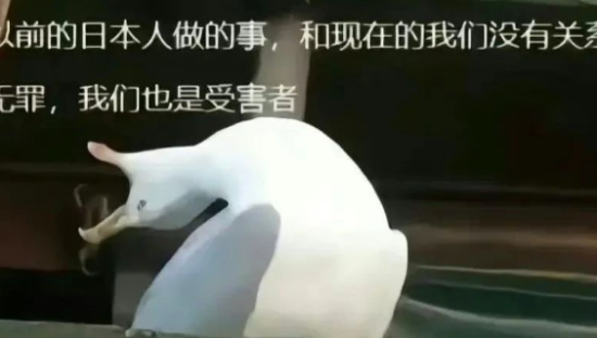 日本核污水排海，日系品牌先慌了