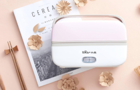 二季度业绩放缓，小熊电器需要护城河