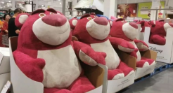 杭州“绑架式”疯抢草莓熊，山姆傻眼了！