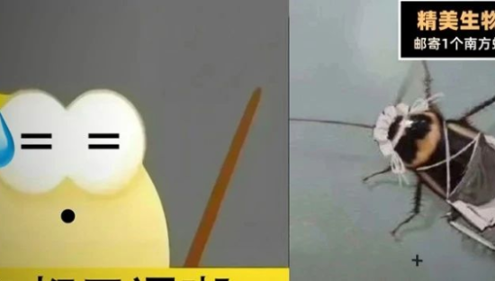 闲鱼抽奖送“蟑螂女仆”，比LV还疯！