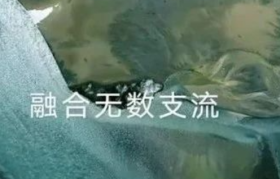 华为Mate60宣传片，太震撼了！