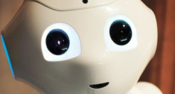 波兰一家公司聘用AI机器人担任首席执行官,没有个人偏见优先选择最佳利益