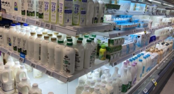 年轻人热捧的小众奶，是智商税吗？