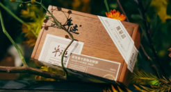 小罐茶年迹，走过不平凡的一年