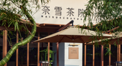 起步价5元，奈雪的茶有了新生意