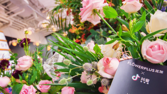 花加停业，鲜花电商倒在双十一前