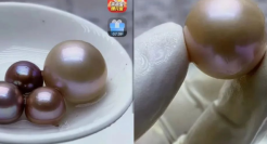 年轻人迷上珍珠直播，开蚌开出的是“泡沫”？