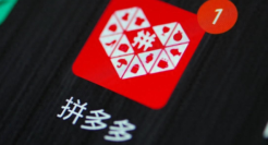 当代年轻人，在拼多多“该省省该花花”