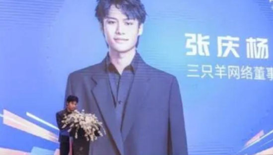 这个双11，小杨哥和三只羊为何「血战」李佳琦？