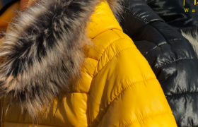 寒潮来袭，是时候认识这座“抗寒”小城了