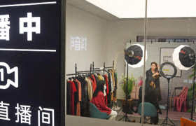 抖音电商双11战报：家居及小电器类目实战经验合集