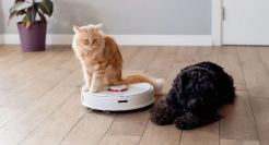 扫地机器人，降价也卖不动了