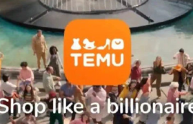 一手物流一手营销，“Temu们”开始狂奔