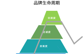 你知道什么是品牌生命周期Brand Lifecycle吗？
