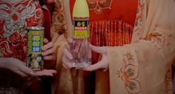 曝光椰树“黑料”，被这新晋网红笑不活了！