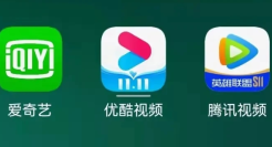 爱腾芒上演男女肌肉互搏大混战综艺，谁最会做「荷尔蒙生意」？