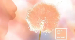 预测2024十大营销趋势，值得收藏！