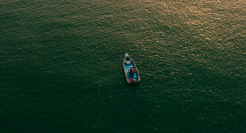 出海这一年，国产消费品牌得到了什么？