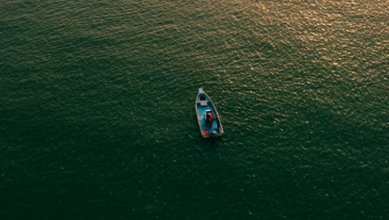 出海这一年，国产消费品牌得到了什么？