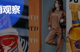 2023十大营销关键词