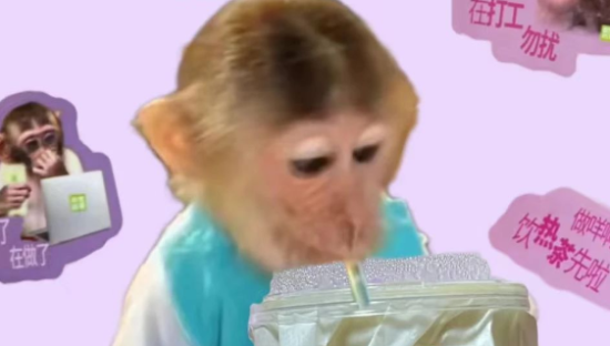 又丑又丧的吗喽文学，爆火成营销热梗？