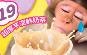 一周案例VOL.67：奈雪梦幻联动“吗喽”、淘宝找“秀儿”