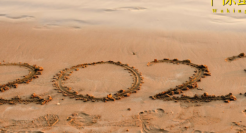 年度访谈 | 10个普通人在路上