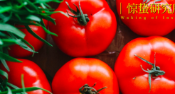 社区团购2024：藏起“独角兽”，开打持久战