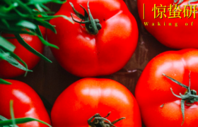 社区团购2024：藏起“独角兽”，开打持久战