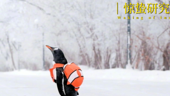 旅游业翻身，不在哈尔滨