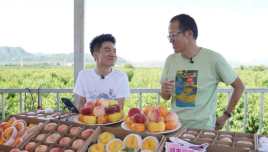 开播15天收入超6亿，与辉同行超越东方甄选？