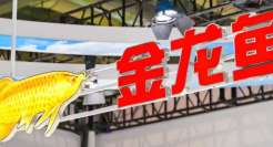 金龙鱼，2024厚积薄发