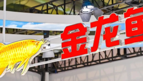 金龙鱼，2024厚积薄发