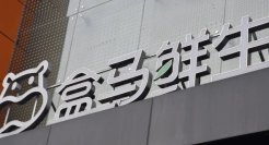 王小卤离不开盒马？