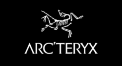 爆改始祖鸟logo，网友神操作火了