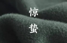 春雷一声！惊蛰海报创意，来了！