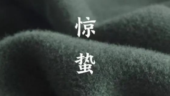 春雷一声！惊蛰海报创意，来了！