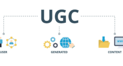 小红书们，抢上搜索「末班车」