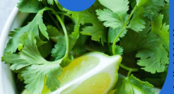 麦当劳和白象，盯上同一个黑红顶流