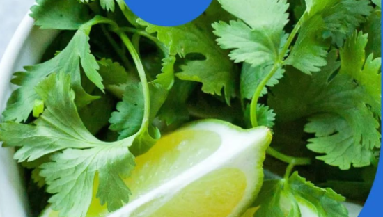 麦当劳和白象，盯上同一个黑红顶流